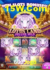 Football Betting 600Jogo